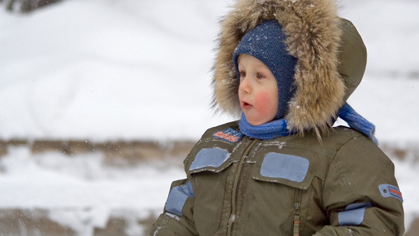 Friert der Igel im Winter?