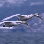 kompetenzkatalog Kompetenzkatalog.de